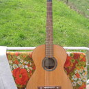 Historická kytara ze 60 let Framus Parlor