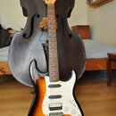 Squier
