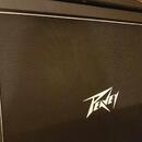 Peavey 430A/B, made in USA