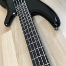SDGR Ibanez sr885