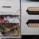  FISHMAN Fluence Open Core Classic Zebra