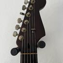 Jedinečný Stratocaster