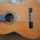 Starší kytara Kingston C-70