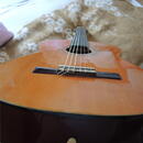 Starší kytara Kingston C-70