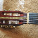 Starší kytara Kingston C-70