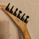 Jackson RR  Pro  series CD 24  (i výměna)