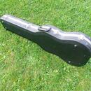 Carvin DC 135