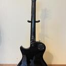 PRS SE 245 CA