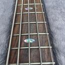 Ibanez výroční série 5 strun