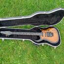 Carvin DC 135