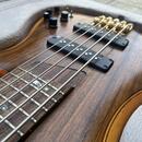 Ibanez výroční série 5 strun