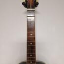 Ibanez Freshman Salvador kolem roku 1950