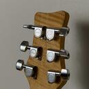 Framus Renegade Pro Custom Shop 1997