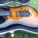 Carvin DC 135