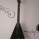 Jackson RR  Pro  series CD 24  (i výměna)