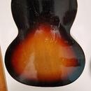Ibanez Freshman Salvador kolem roku 1950