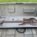 Ibanez výroční série 5 strun