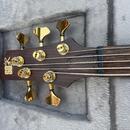 Ibanez výroční série 5 strun