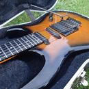 Carvin DC 135