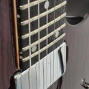 Ibanez RG420 FM Schaller HW