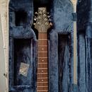 Schecter 
