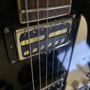 Duesenberg Double Cat 