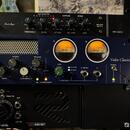 TL AUDIO C-1 Dual Valve Compressor aj vymena 