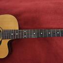 MATON EM425/12C (12-strunná elektro-akustická kytara)