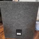 Reprobox DEXON DS250 200W 8Ohm