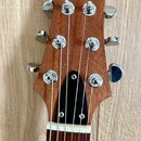 Warmoth Diamondback
