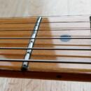 Washburn SS40 Steve Stevens