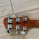 Warmoth Diamondback