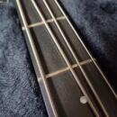 Modulus Vintage J 2004