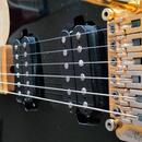 Washburn SS40 Steve Stevens