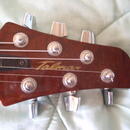 prodám elektroakustickou kytaru Ibanez Talman TCM50 VBS