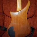 Alembic Epic 5