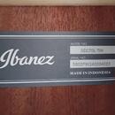 IBANEZ AEG70L-TIH - Tiger Burst High Gloss