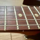 Warmoth Diamondback