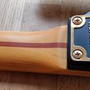 Washburn SS40 Steve Stevens