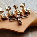 Washburn SS40 Steve Stevens