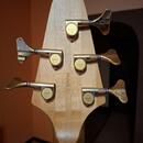 Alembic Epic 5
