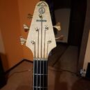 Alembic Epic 5