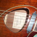 prodám elektroakustickou kytaru Ibanez Talman TCM50 VBS