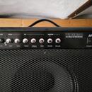 Ashton Viper 30