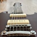 Warmoth Diamondback