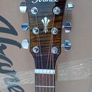 IBANEZ AEG70L-TIH - Tiger Burst High Gloss