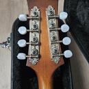  Zánovní česká celomasivní mandolína ULMA Jimmy 3 s kufrem