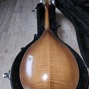  Zánovní česká celomasivní mandolína ULMA Jimmy 3 s kufrem