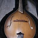 Zánovní česká celomasivní mandolína ULMA Jimmy 3 s kufrem
