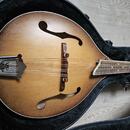  Zánovní česká celomasivní mandolína ULMA Jimmy 3 s kufrem
